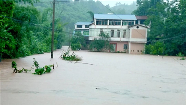 暴雨頻頻“上線”，家里墻面受潮發(fā)霉怎么辦？