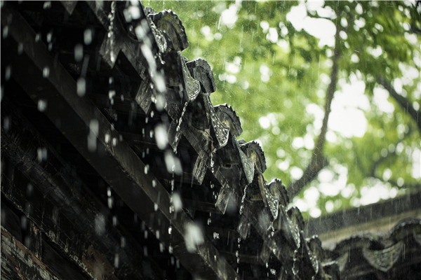 暴雨頻頻“上線”，家里墻面受潮發(fā)霉怎么辦？