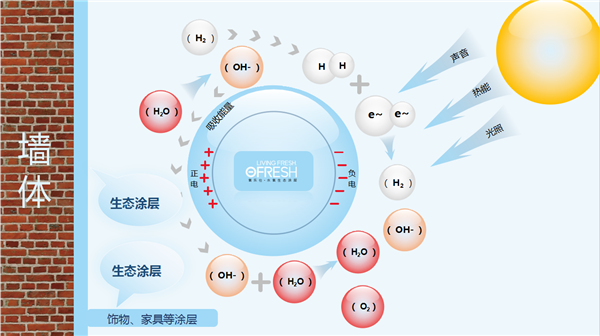 暴雨頻頻“上線”，家里墻面受潮發(fā)霉怎么辦？