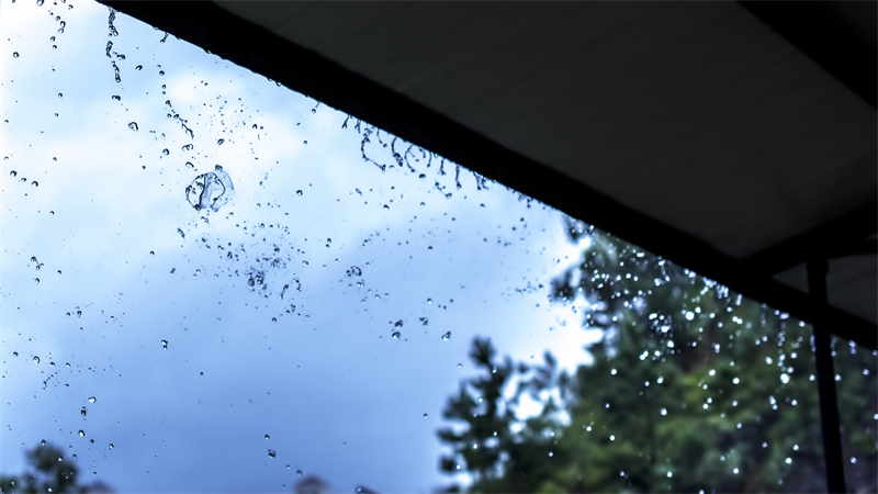 雨水節(jié)氣︱和風攜細雨，萬物喚春歸